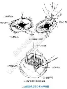 德布劳内CBA常规赛综述(德布劳内女友出轨其队友库尔图瓦)|fg中国官网