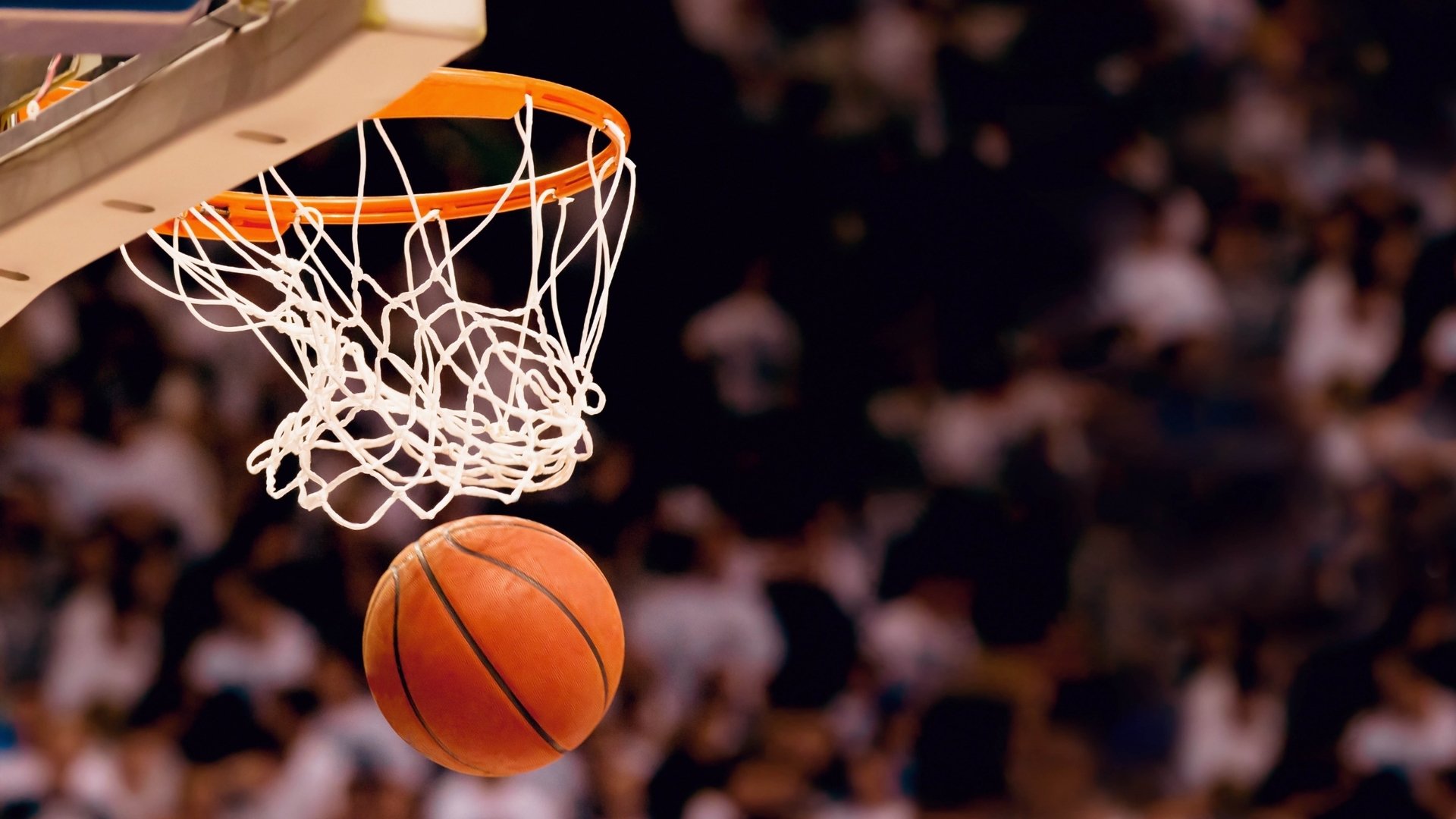 哈兰德征战NBA？东部球队欲引热议引发跨界猜想|fg电子游戏官网